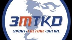 Logo Association 3MTKD